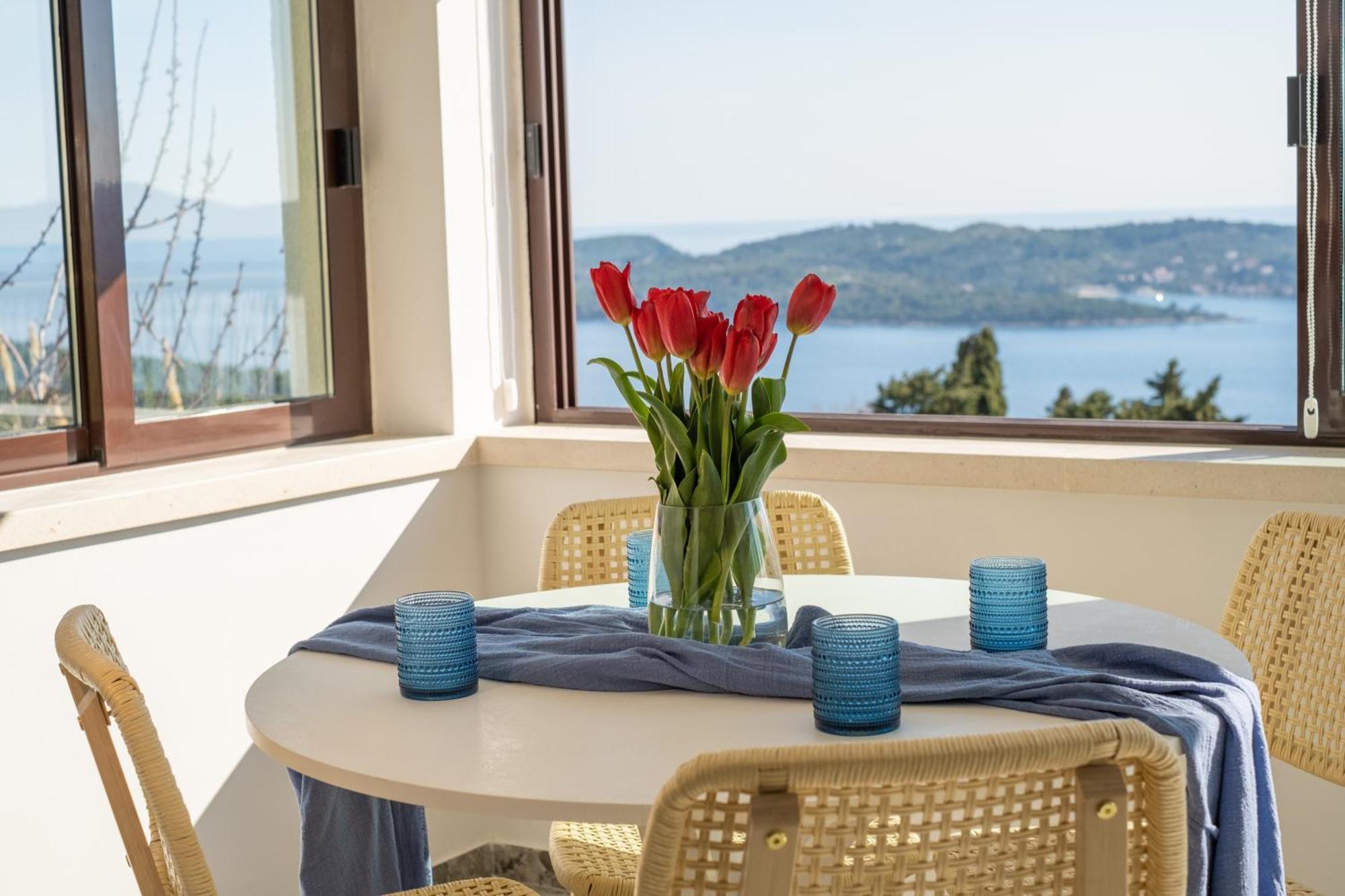 Judita Dubrovnik Villa *