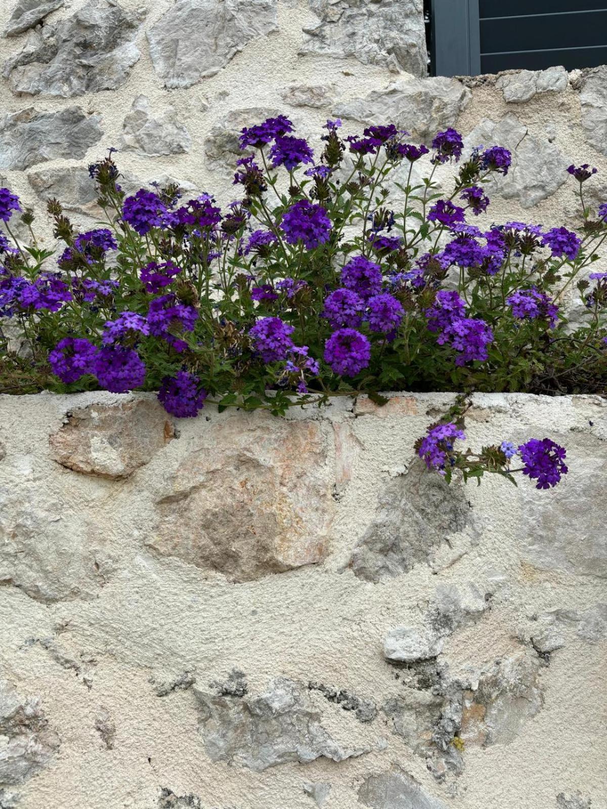 Judita Dubrovnik Villa